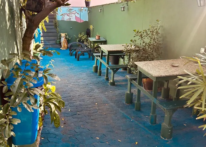 Onça da Praia Hostel